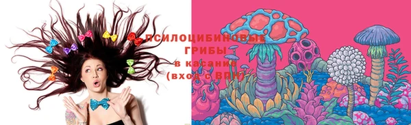 спиды Алексеевка