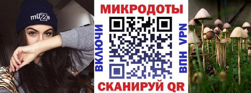 Псилоцибиновые грибы Psilocybine cubensis  где купить наркоту  Белореченск 