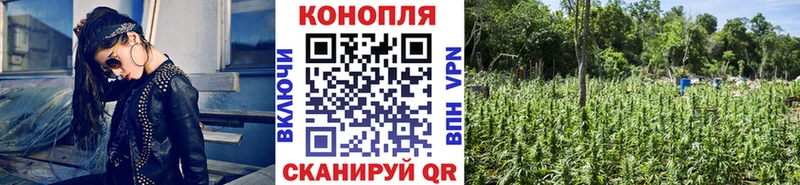 МАРИХУАНА конопля  mega зеркало  Белореченск  как найти закладки 
